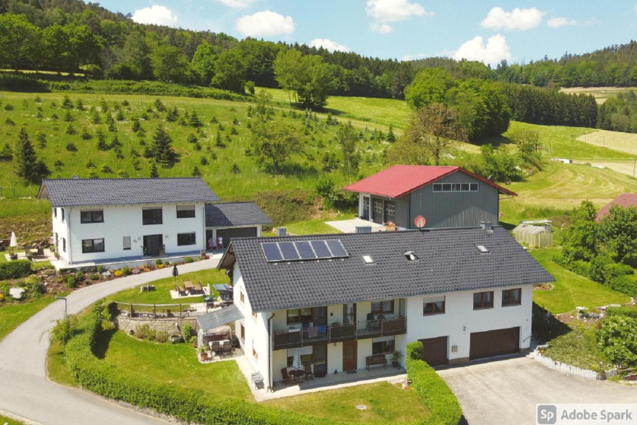 Appartement Haus Schmid à Falkenfels Extérieur photo