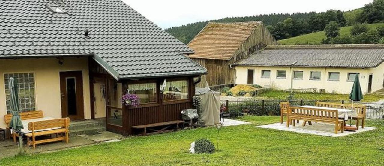 Appartement Haus Schmid à Falkenfels Extérieur photo