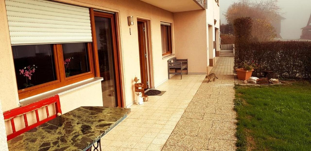 Appartement Haus Schmid à Falkenfels Extérieur photo